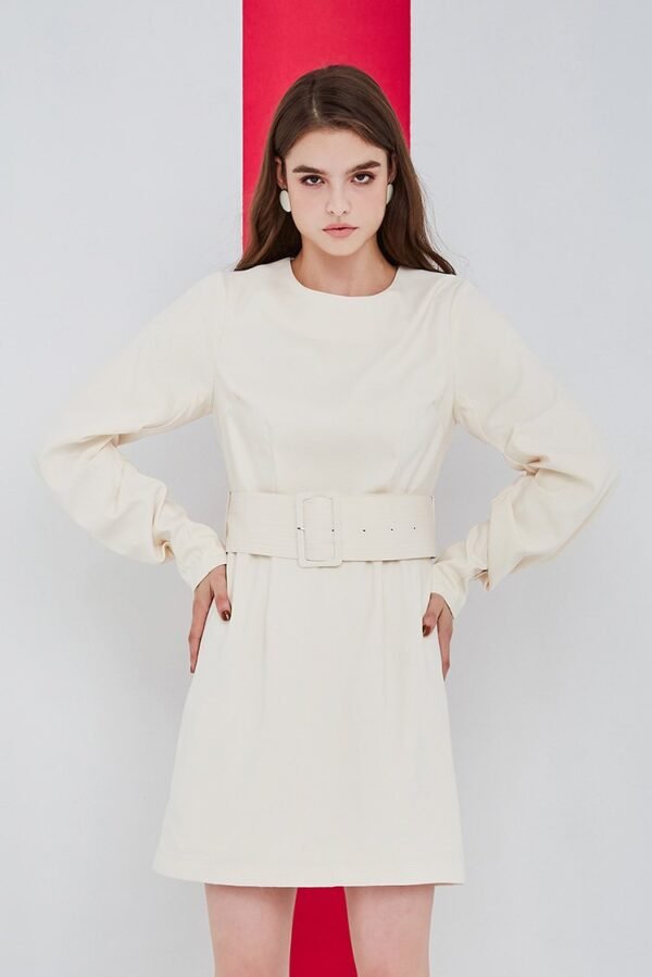 Plain round neck wide belt style dress