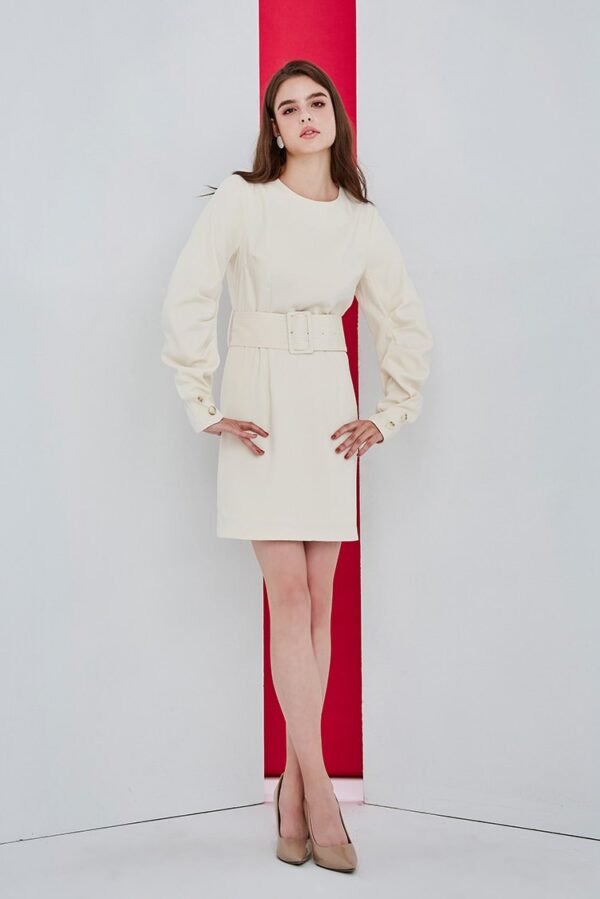 Plain round neck wide belt style dress