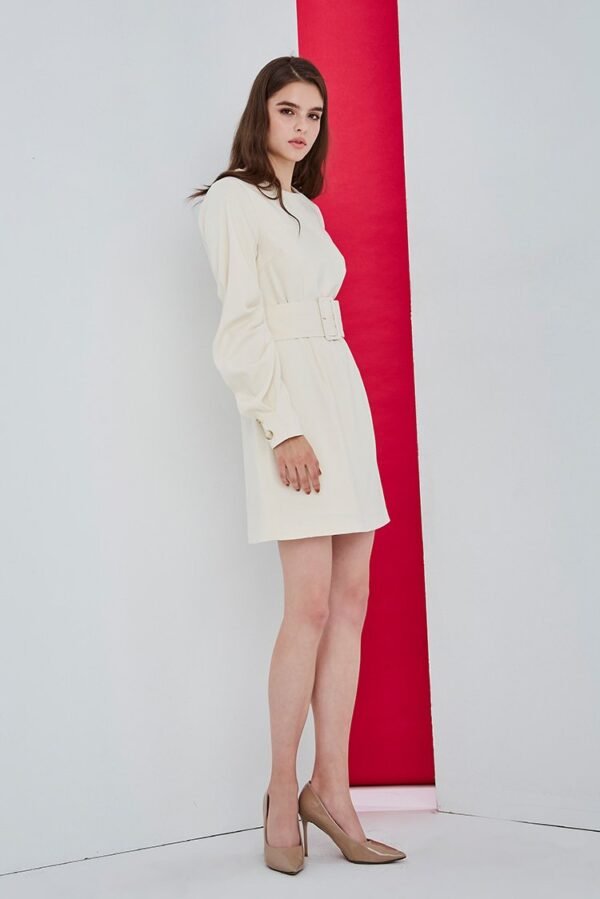 Plain round neck wide belt style dress