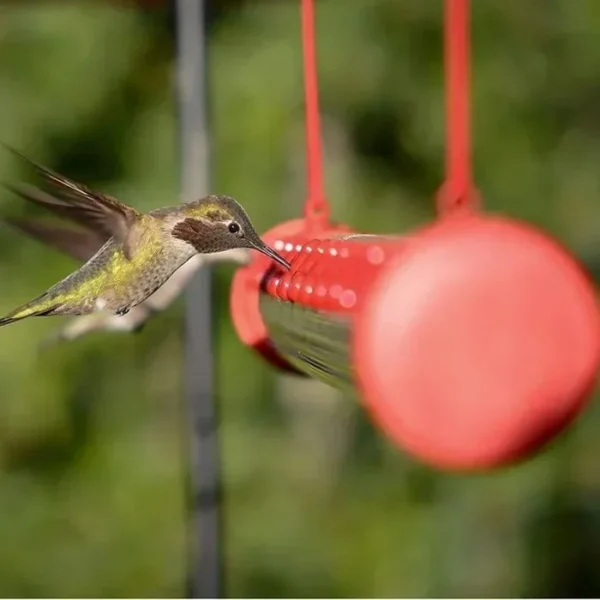 Flower bar hummingbird feeder