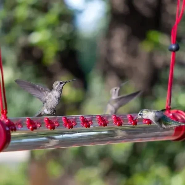 Flower bar hummingbird feeder